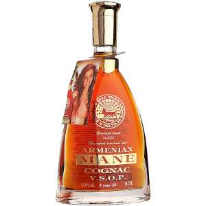 Mane VSOP 5YO Brandy 0,5L 40%