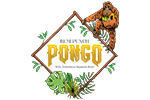 Pongo